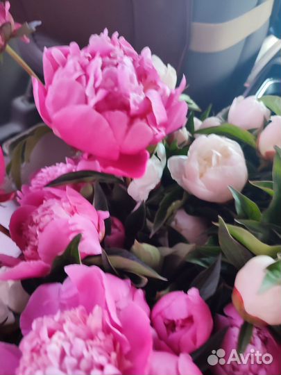 Пион букетом