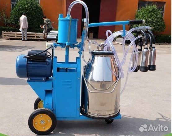 Доильный аппарат Милка бидон frox