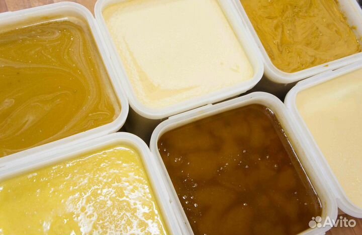 Мед натуральный алтайский опт