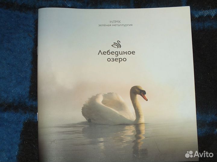 Липецкая Энциклопедия