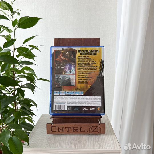 Infamous Второй Сын PS4/PS5 Диск