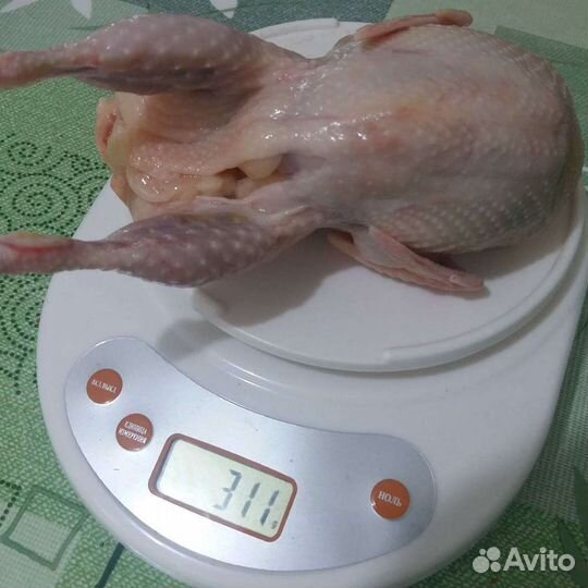 Мясо перепелов