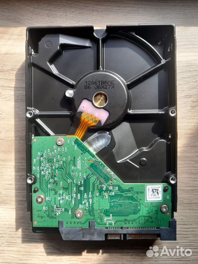 Wd10 ezex 1tb 64mb