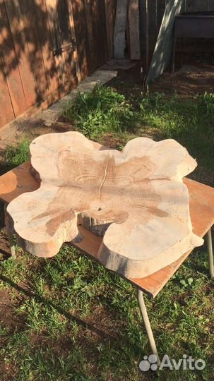 Декоративный спил ели, сосны и других деревьев