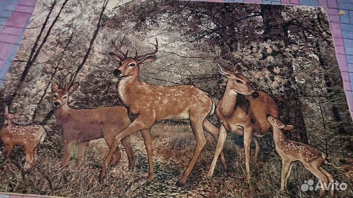 Ковер, палас