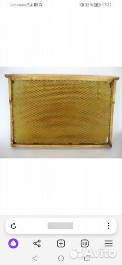 Сушь для пчел