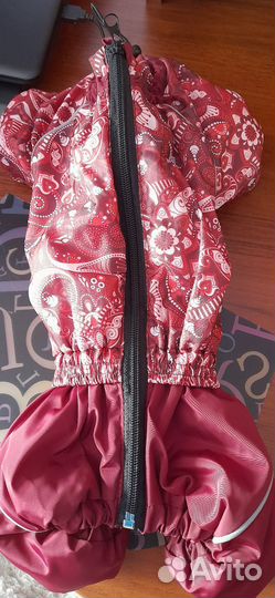 Одежда для собак