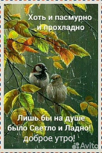 Козел альпийский