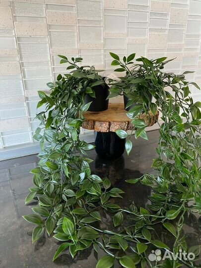 Икеа фейка вьюнок