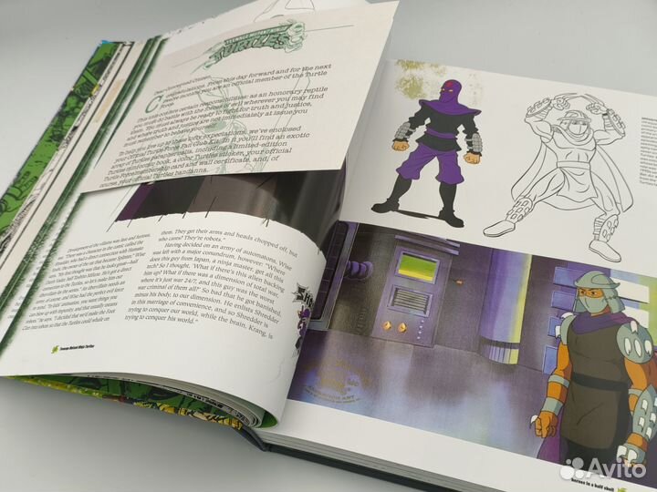 Teenage Mutant Ninja Turtles: The Ultimate Visual