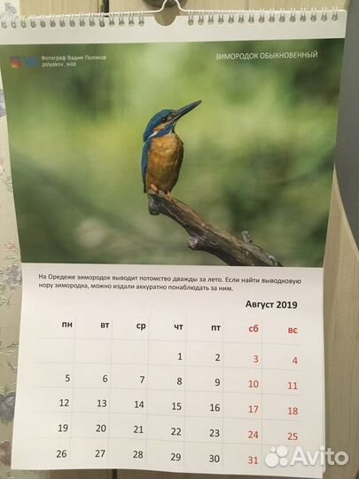 Календарь с птицами