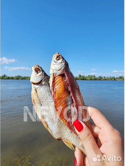 Астраханская вяленая вобла