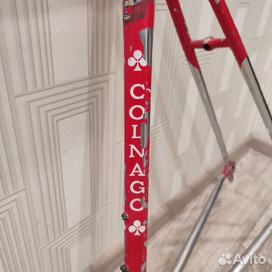 Colnago фреймсет