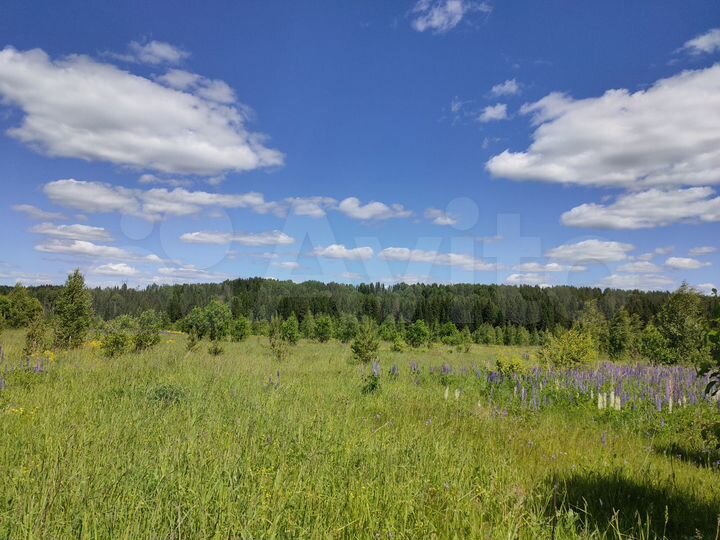 Участок 6 га (СНТ, ДНП)