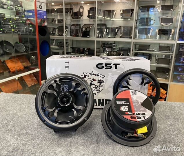 Эстрадный коаксиальный динамик серии banda 65T