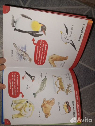 Энциклопедия для малышей иллюстрации Тони Вульфа