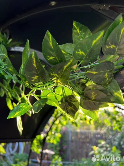 Искусственные цветы, лиана, декор на стену