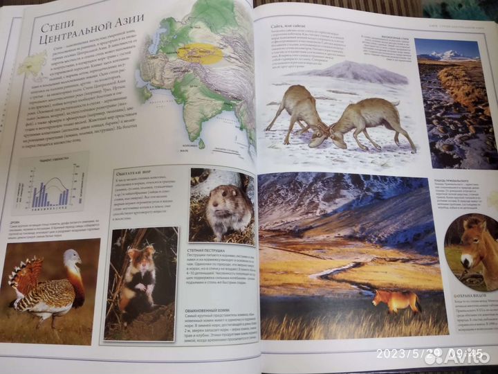 Атлас Животный Мир