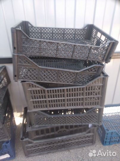 Пластиковые ящики для овощей бу