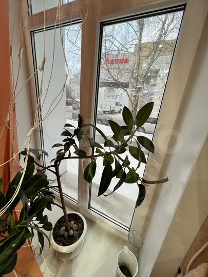 Торговая площадь, 254 м²