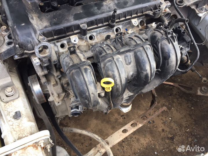 Форд фокус-2 2.0,2007 г.в.в разборе