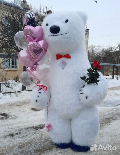 Белый Мишка поздравление