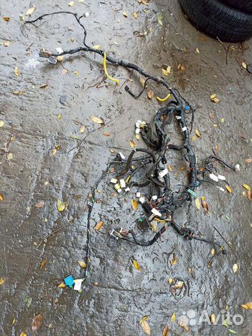 Проводка салонная Kia Ceed ED Сид