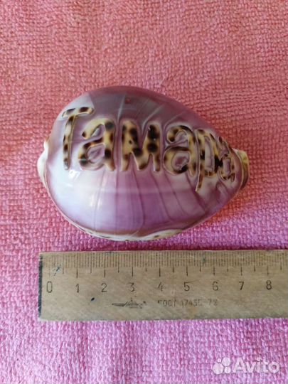 Раковина - каури 