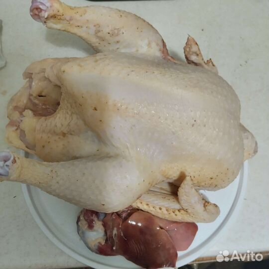 Домашние броллеры