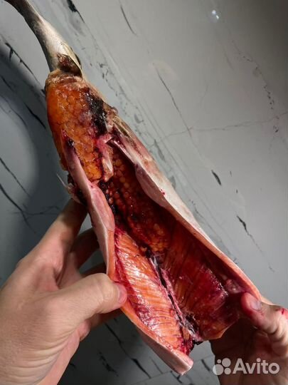 Горбуша непотрошеная свежемороженная