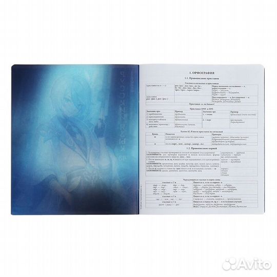 Комплект предметных тетрадей 48 листов, 12 штук, E