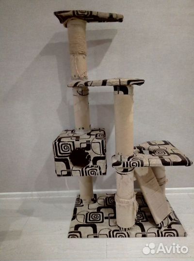 Кошка, рыжая