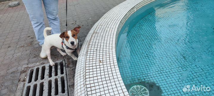 Кабель для вязки