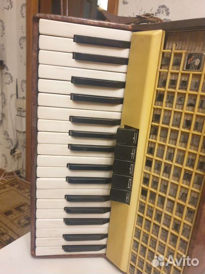 Аккордеон заря 2