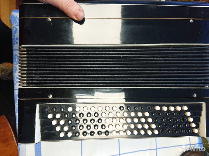 Баян тульский