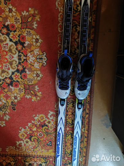 Беговые лыжи