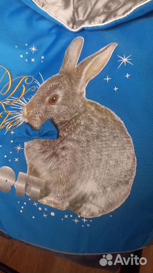 Санки коляска Ника 7-2 меховые 6 колес отл.сост