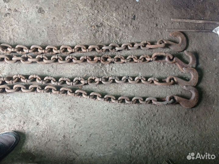 Паук цепной