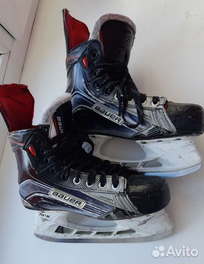 Коньки, шорты, нагрудник, локти Jr М