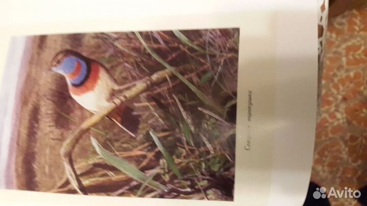 Жизнь животных А.Брема, 24 тома