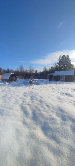 Дом 44 м² на участке 15 сот.