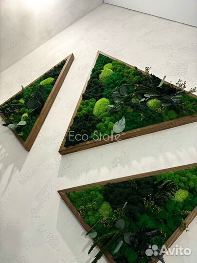 Композиция из треугольных панно мох в раме