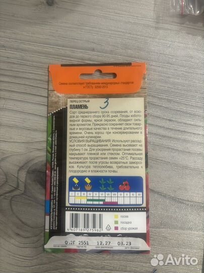 Рассада острого перца