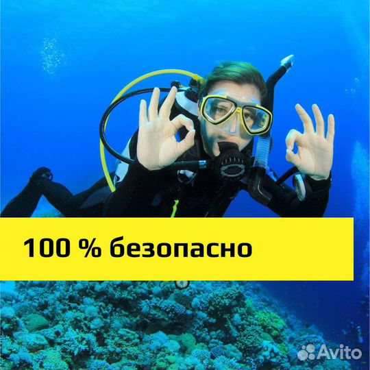 Морские прогулки. Экскурсии (более 10 экскурсий )