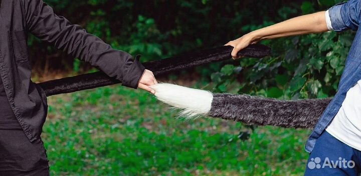 Ушки и хвост