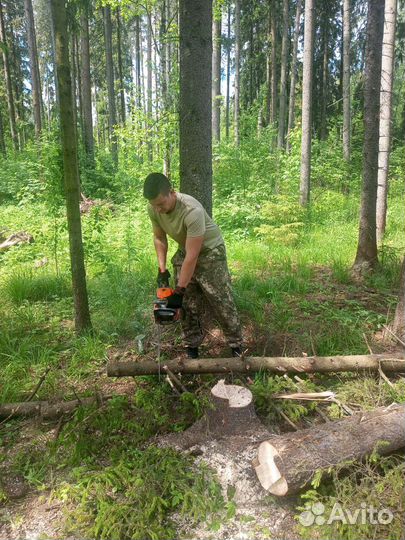 Удаление и спил деревьев Покос травы