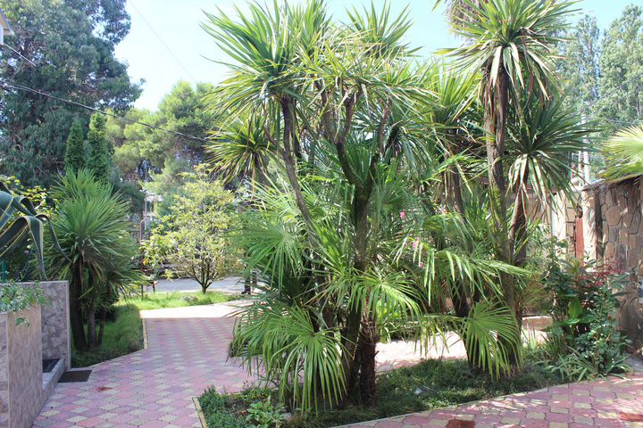 Комната 16 м² в 4-к., 2/2 эт.