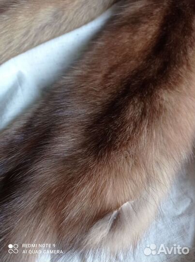 Шкурки соболя