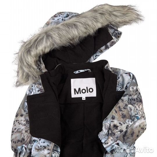 Molo pyxis snowy leopards 86