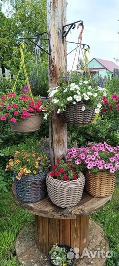 Кашпо из ротанга